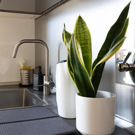 Apartment Gladys, Con Vista A *